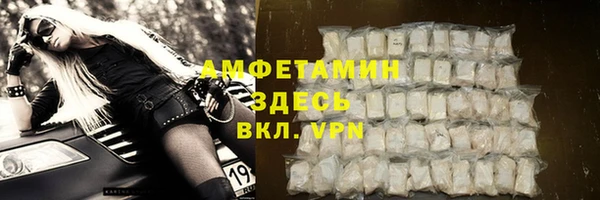 молекула духа Арсеньев
