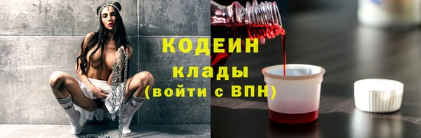 молекула духа Арсеньев