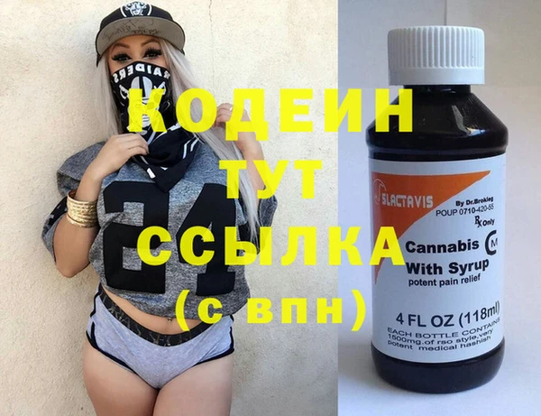 молекула духа Арсеньев