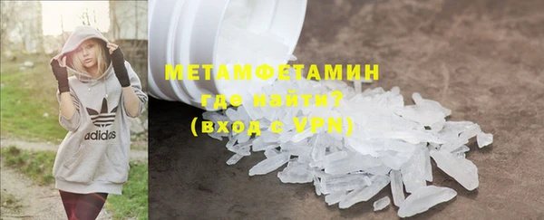 прущие грибы Балахна