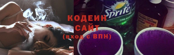 молекула духа Арсеньев